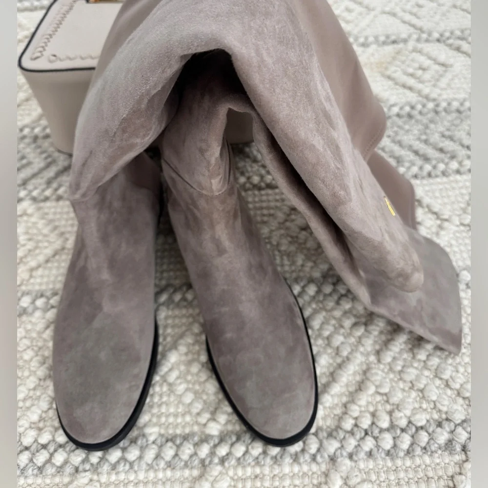 Stuart Weizman Over the Suede Knee-High Boots